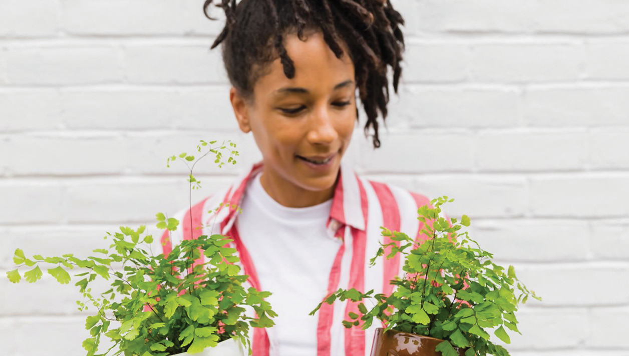 Beyond Beautiful: How Plants Improve Mental and Physical Wellness