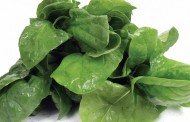 This Month’s SuperFood Spinach
