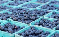 This Month’s SuperFood Blueberries
