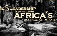 Big 5 Leadership  Learning from Africa’s Most Fascinating Animals