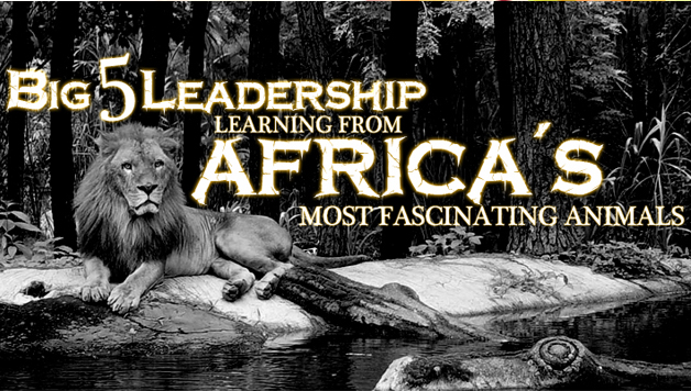 Big 5 Leadership  Learning from Africa’s Most Fascinating Animals