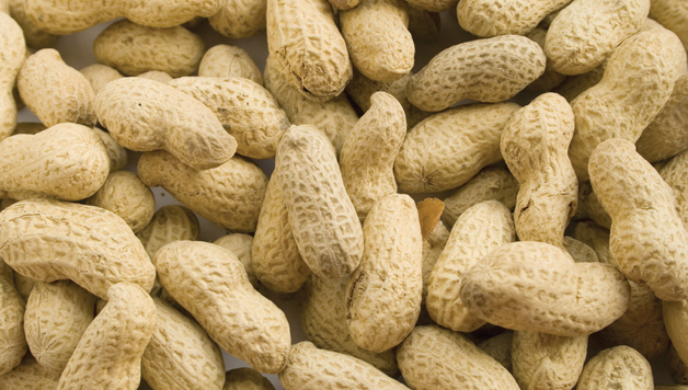 Nuts May Lengthen Your Life, Study Suggests