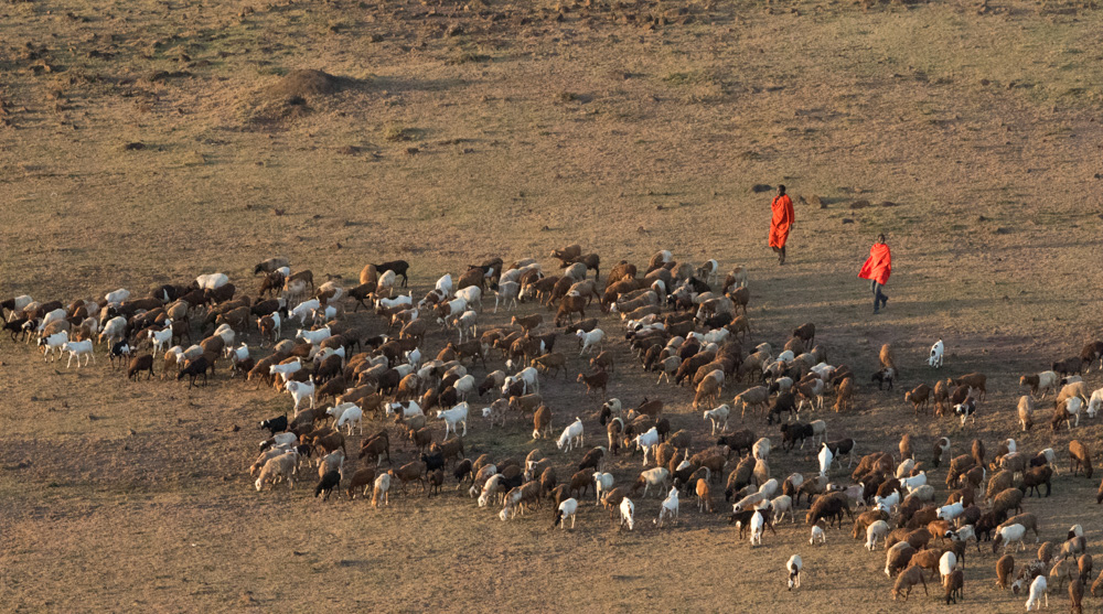 2015-02-28 Masai Mara Day 2 AM  early 157