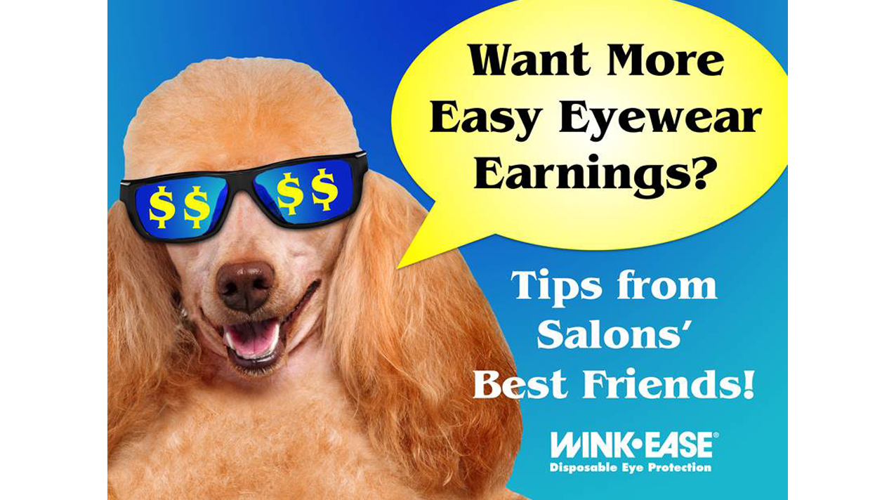 “Want More Easy Eyewear Earnings?” Online Training Available!