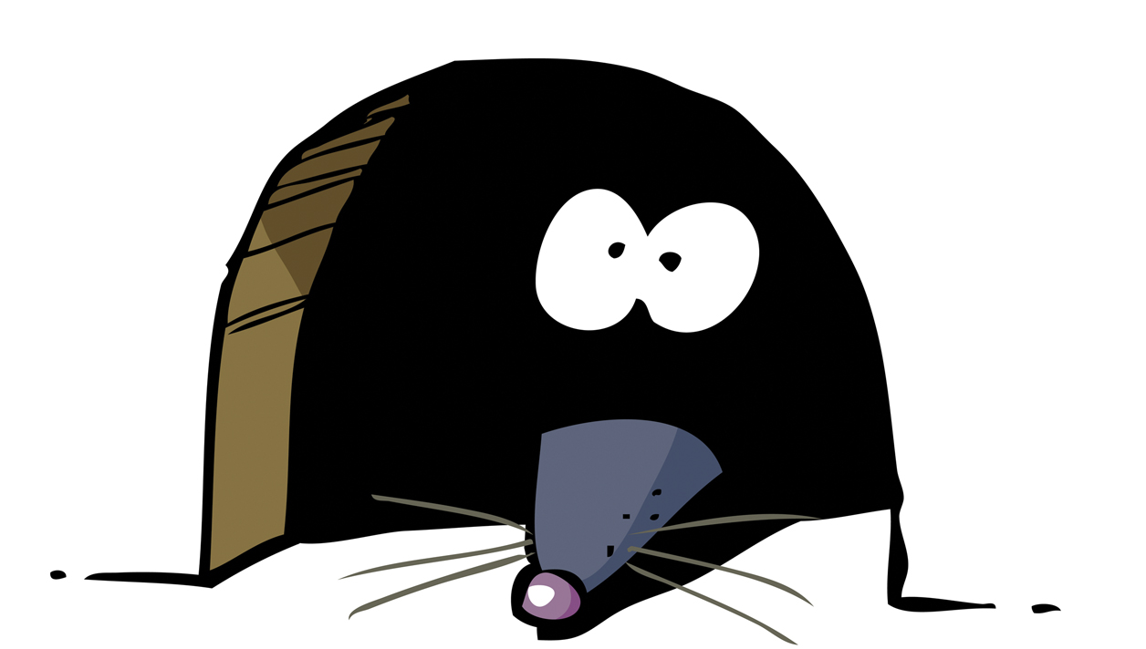 | Smell a Rat! - ist Magazine
