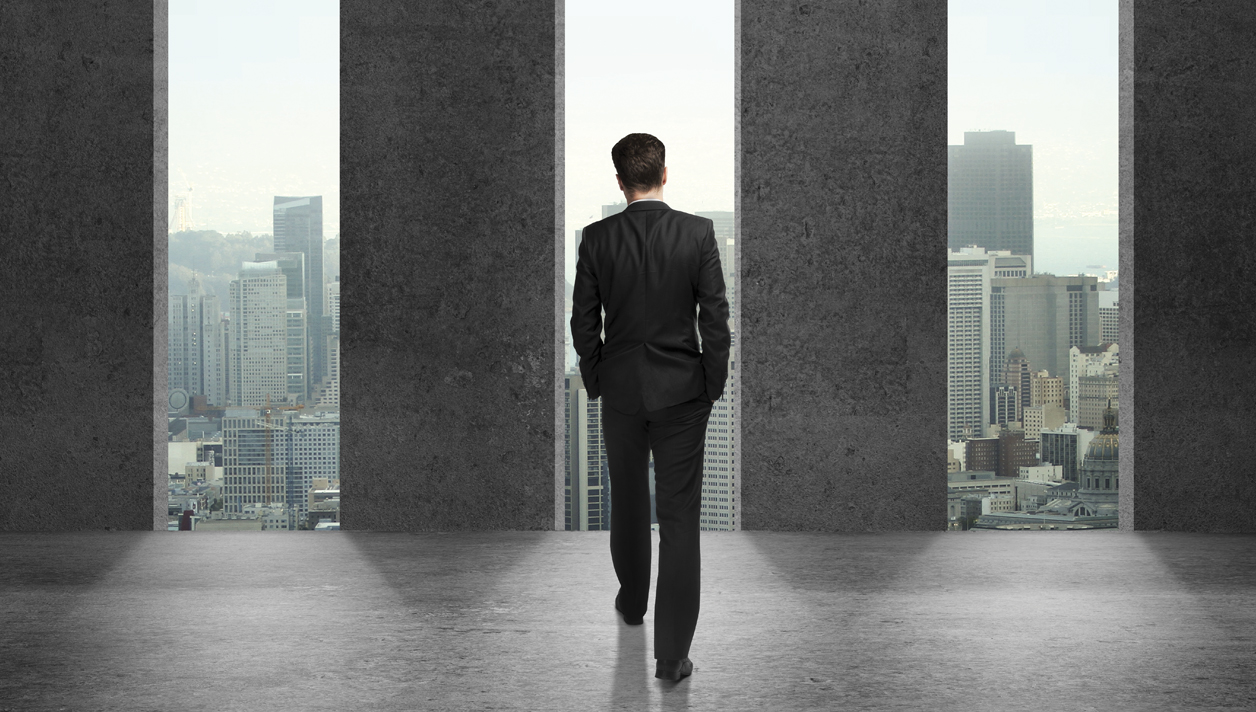 The 6 Pillars of Professional Power <br><h3> P.A.M.P.E.R. Your Way to Success </h3>