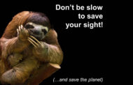 “Don’t be Slow to Save Your Sight!” NEW Salon Training Now Available!